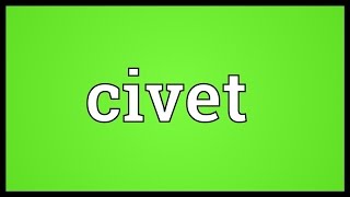 Civet Meaning [upl. by Zulaledairam]