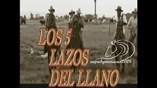 LOS 5 LAZOS DEL LLANO COMPLETO [upl. by Mountfort]