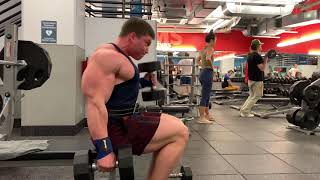 Seated Hammer Curls [upl. by Svetlana]