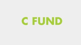 Your TSP Investment Options The C Fund [upl. by Kcuhc]