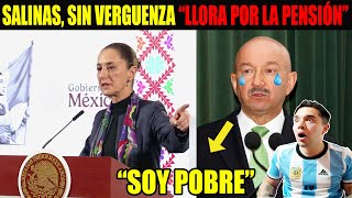 La PRESIDENTA LO MANDA A CALLAR A SALINAS por HABLAR MAL DE MÉXICO en el EXTRANJERO [upl. by Natrav]