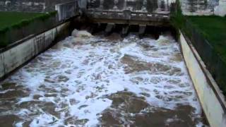 Tropical Storm Hermine Aftermath  Olmos Basin Dam Flooded  8810 [upl. by Aissak]