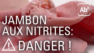 A Bon Entendeur  Charcuterie  comment éviter les nitrites [upl. by Nnaacissej996]