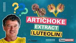 Artichoke Extract Luteolin [upl. by Cobb]