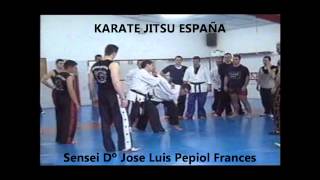 TRABAJO BASICO DE KARATE JITSU CURSO EN TORRENTEVALENCIA  MAESTRO JOSE LUIS PEPIOL [upl. by Eiramasil]