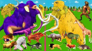 Modern Mammals vs Cenozoic Animals Size Comparison Mammoth TRex Vs Elephant Lion Animal Epic Battle [upl. by Frick]