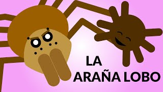 La ARAÑA LOBO Madre del año [upl. by Cerelly]