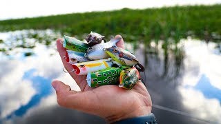 Do Bass Eat Frogs In WINTER Topwater blowup  Jiggin With Jordan [upl. by Fitzpatrick]