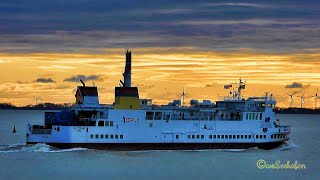 Auslauf letzte Fähre MS MÜNSTERLAND AG EMS DCJB IMO 8601989 Borkum Inselfähre RoRo evening ferry [upl. by Ihn275]