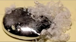 Mercury vs Aluminium  A weird looking reaction [upl. by Aztilem948]