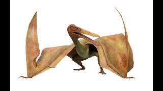 Pterodactylus Roar Dino Dan [upl. by Einyaj]