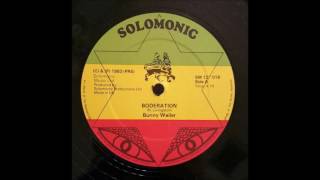 Bunny Wailer  Borderation 12 inch [upl. by Thunell912]