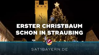 Christbaum im Oktober Darum steht in Straubing schon der Tannenbaum [upl. by Thane]