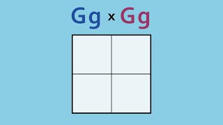 How to Complete a Punnett Square Monohybrid Cross [upl. by Yenal]