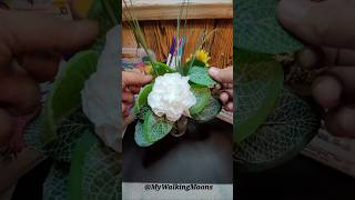 Easy craft 👌 beautiful flower 🌸 viral shorts art craft drawing activities canada vlog 2024 [upl. by Hsizan]