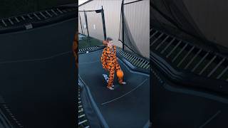 Double Bouncing PUMPKINS😱🎃 trampoline flips pumpkin viral [upl. by Entwistle]