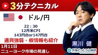 ドル円見通し 「22：30 12月米CPI 、143円台or147円台」見通しズバリ！3分テクニカル分析 ニューヨーク市場の見通し 2024年1月11日 [upl. by Maier]