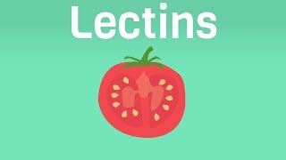 Turn Off Autoimmunity By Avoiding Lectins  The Plant Paradox by Steven Gundry [upl. by Waite845]