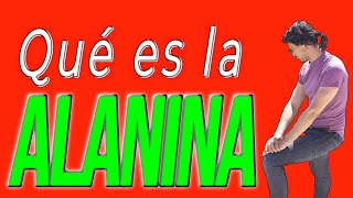 La Alanina ¿Qué tipo de aminoácido es [upl. by Golda]