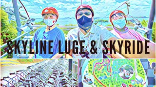 SKYLINE LUGE amp SKYRIDE SENTOSA SINGAPORE 🇸🇬 [upl. by Thrasher643]