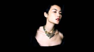 Faye Wong 王菲  容易受伤的女人 歌词 Lyrics [upl. by Dulsea]