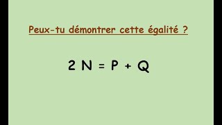 Discussions et réflexions autour dune conjecture très profonde Ne faites pas ça chez vous [upl. by Colner]