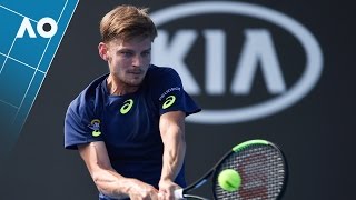 Stepanek v Goffin match highlights 2R  Australian Open 2017 [upl. by Annav189]