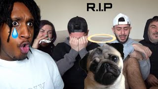 Faze Rugs Dog Bosley Passes Away emotional REACTION [upl. by Aeneus]