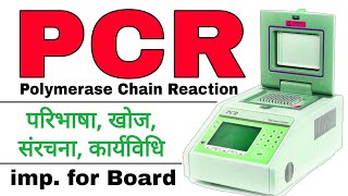 pcr explained  pcr in hindi  polymerase chain reaction in hindi  pcr techniques in biotechnology [upl. by Yancy102]