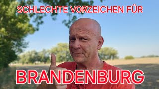 GRÜNES JAMMERTAL UND HOFFNUNG IN BRANDENBURG 👍 [upl. by Zebedee]