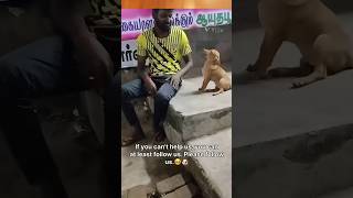 ചേട്ടാ ഉറക്കം വരുന്നു😥😥streetdog streetpets petspetloverpetcaredog [upl. by Nnazil]