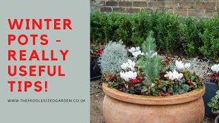 How to choose and plant winter pots [upl. by Mayyahk]