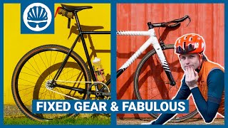 Jacks Fixie Obsession  Stupid But Fun Gravel amp Hill Climb Fixed Gear Bikes [upl. by Ztnaj978]