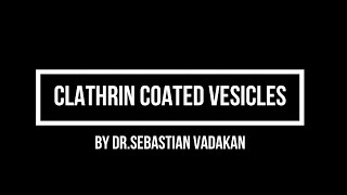 Clathrin Coated Vesicles [upl. by Chenay]