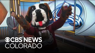 Colorado Avalanche gearing up for home opener at Ball Arena [upl. by Anitnamaid]