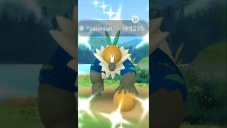 Shiny Passimian debut 😎  Pokemon go event anime gaming [upl. by Steady948]