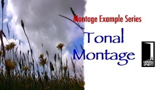 Tonal Montage  Education Resource [upl. by Onairot]