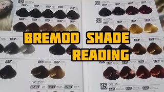 BREMOD SHADE CARD READING ICCINTERNATIONAL COLOR CODING SYSTEM [upl. by Macy]