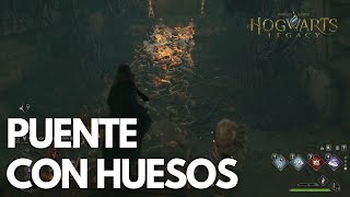 Hogwarts Legacy  Misión quotLas sombras del tiempoquot  Crea un puente con HUESOS 🔥✅ [upl. by Eelana536]