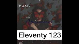 DJ YK Mule  Eleventy 123 Official Audio [upl. by Airdnahc983]