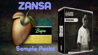 Sample Packs ZANSA  ZanTen Type Beat  Sgija FLP FL Studio 2022 download [upl. by Aseek]