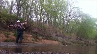 Fly Fishing for White Bass in Texas [upl. by Semadar209]