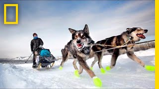 See How Dog Sledding Helped This Photographer Get Her Spark Back  Short Film Showcase [upl. by Ireg]