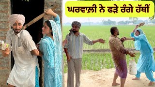 ਨਾਰ ਪਟੋਲੇ ਵਰਗੀ ਭਾਗ2 ॥Naar Patole Vargi Part2 Tarzanmehkma Tarzanhamirgarh  Hamirgarh 2024 [upl. by Coad137]