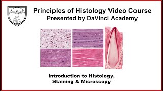 Introduction to Histology Staining and Microscopy [upl. by Bridie]