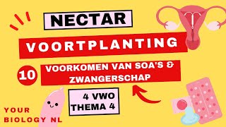 4 vwo  Voortplanting  10  Voorkomen van SOAs en zwangerschap [upl. by Nahem251]