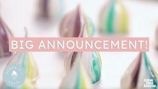 Big Announcement Were Launching an Online Course  Georgias Cakes [upl. by Aissyla]