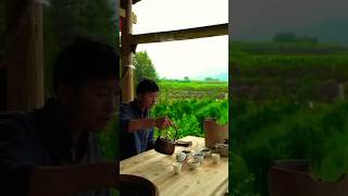 The process of making tea leaves to tea tea tealeaves tealover villagefood food ytshorts [upl. by Constance971]