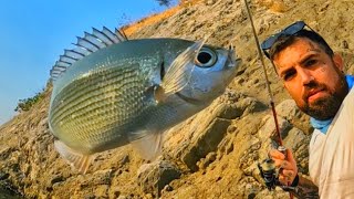 Fishing with Bread  Parga Greece [upl. by Reeher]