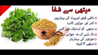 Methi dana benefits in urdu  Methi dana benefits  Technical Qasar [upl. by Nosauq]